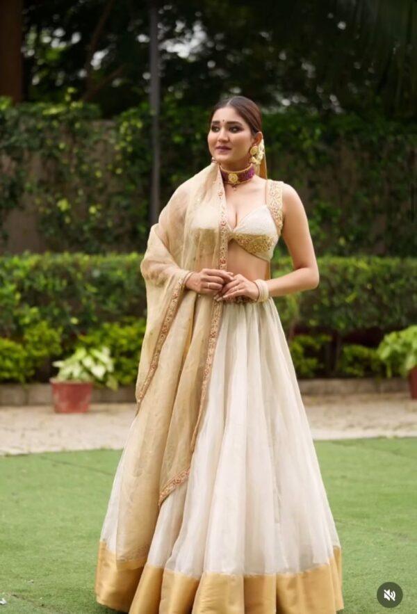 Pure Water Zari Tissue Lahenga Set with Hand Work Blouse and Tissue Dupatta